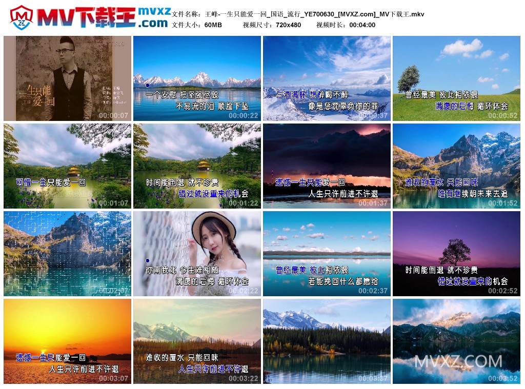 王峰-一生只能爱一回_国语_流行_YE700630